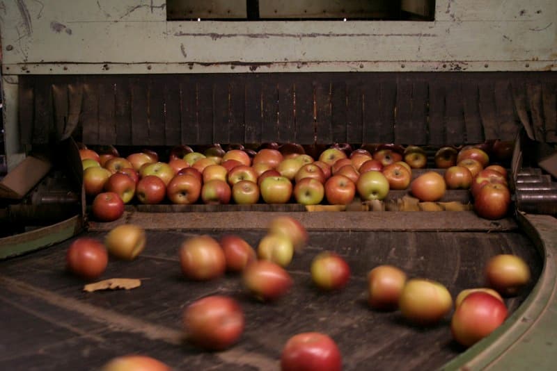 mattics' orchards photo