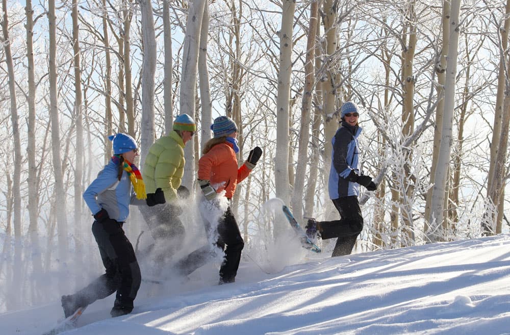 Four snowshoers kick up a bunch of powder as they snowshoe through aspen trees