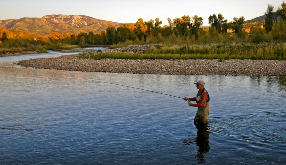 A person fly-fishes on the Yampa River near Steamboat Springs, CO with golden trees in the background