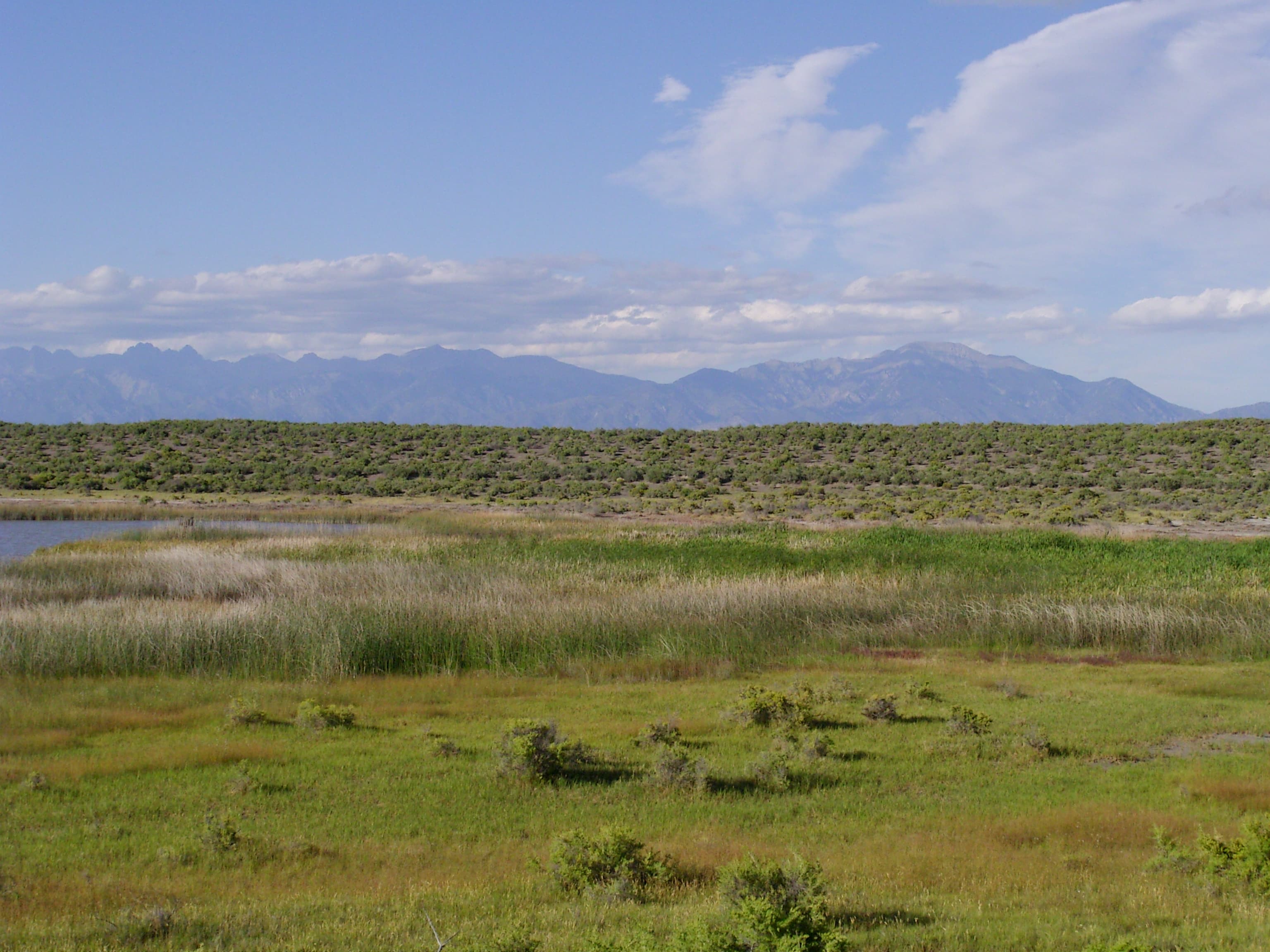 blanca wildlife habitat area (blanca wetlands) photo