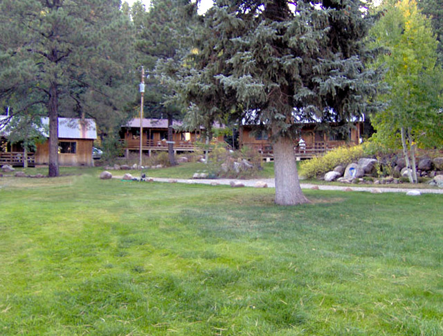 lone wolf cabins & vacation homes photo