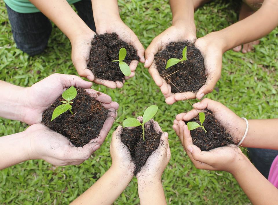 garden to table photo
