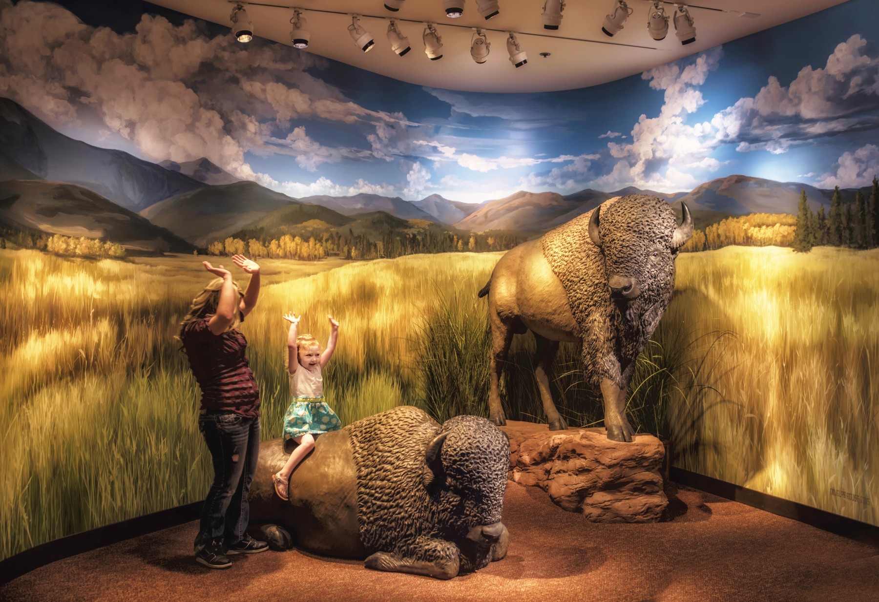 say hello to the buffalo exhibit photo 5