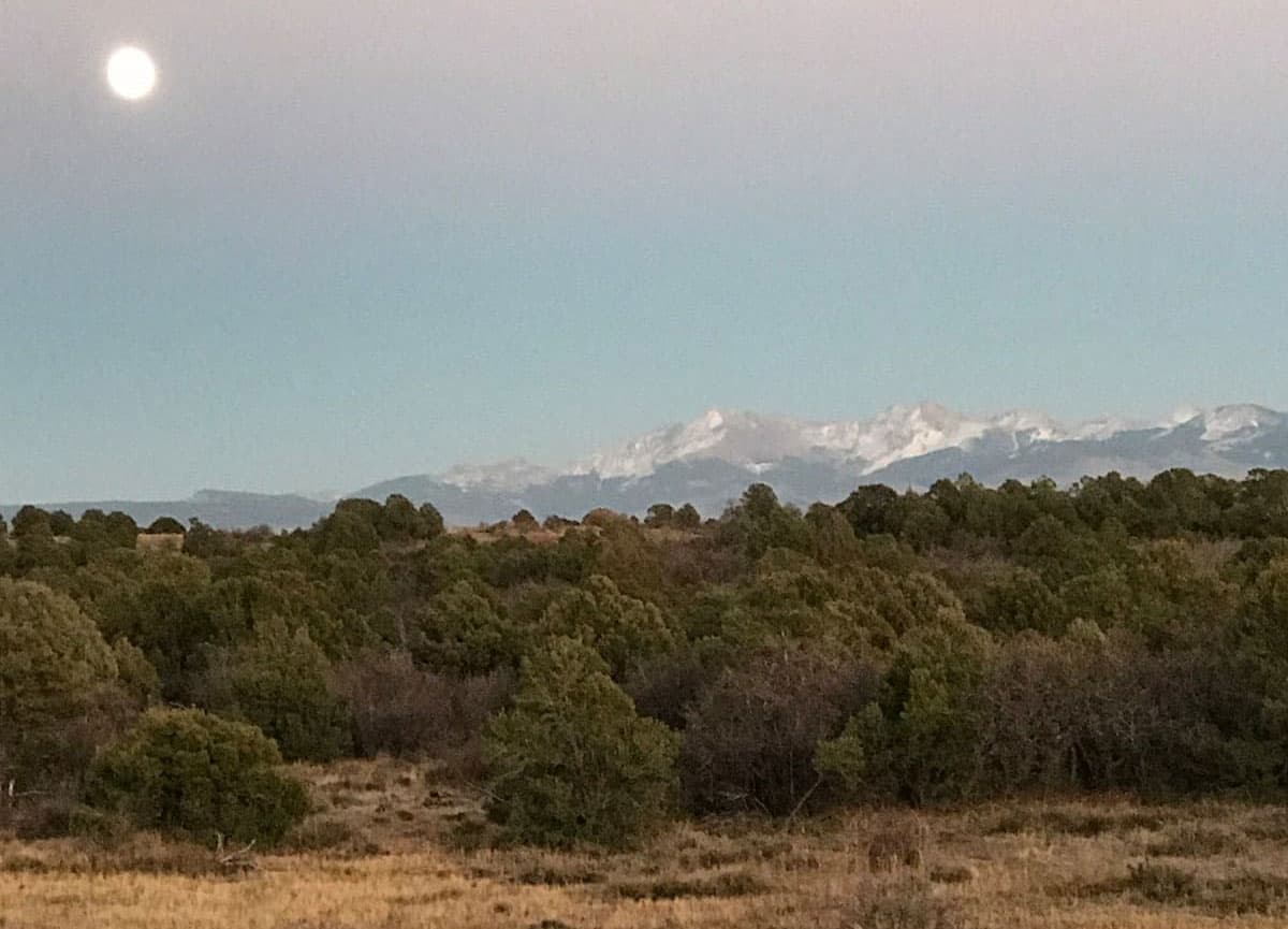 Critter Mountain Ranch