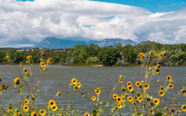 Lake views at Lathrop State Park