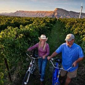 A couple walks their bikes through a vineyard in Palisade