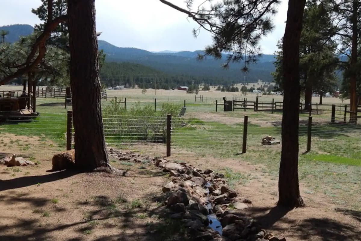 Two tall pines frame a view of ranch lands and mountain peaks outside the Idlewild Stagecoach cabin near Lake George, Colorado.