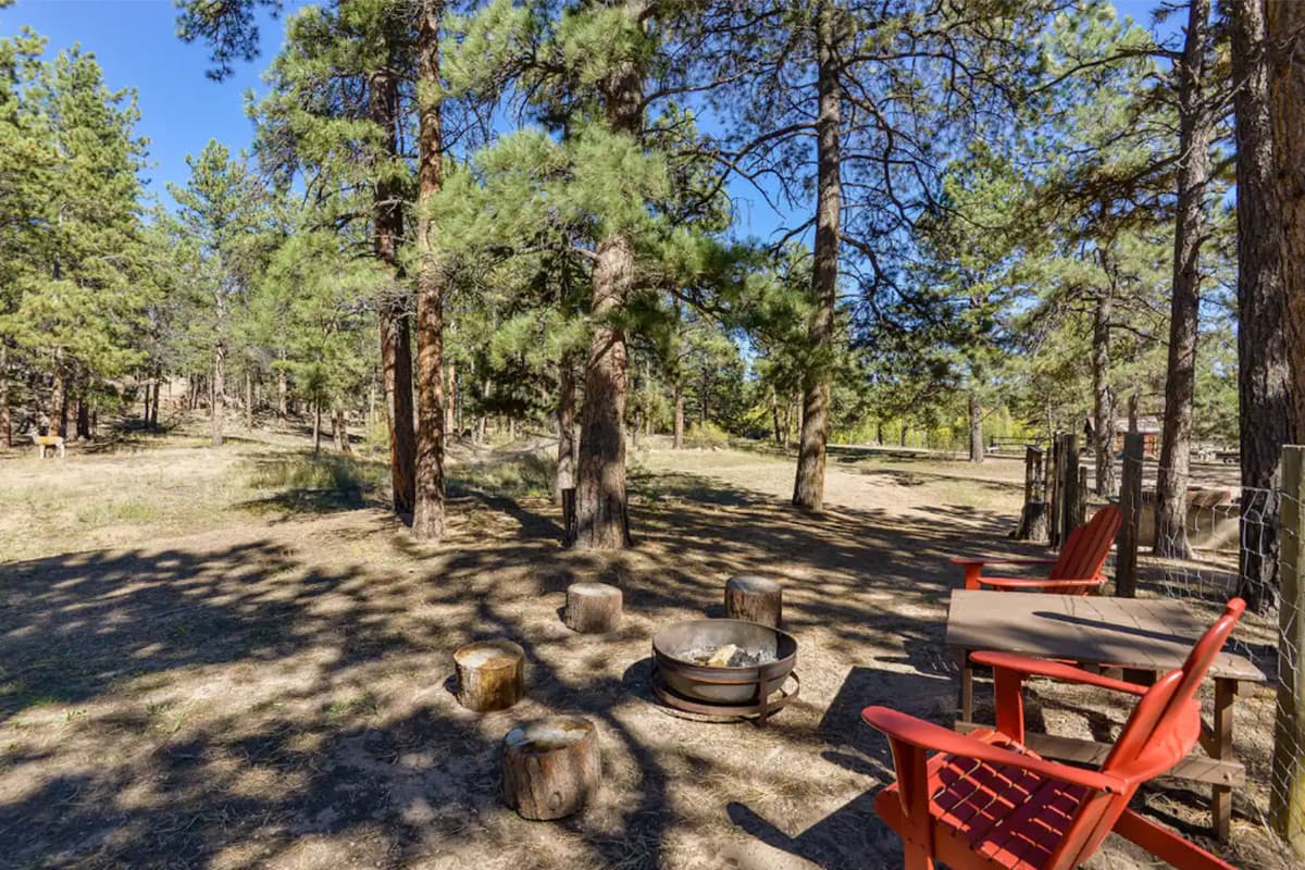 Two red chairs and several thick stumps are set around a firepit near the pine forests in Lake George, Colorado.