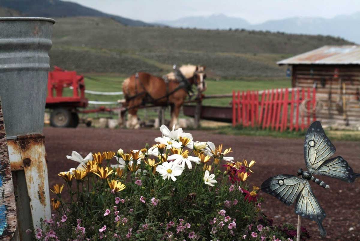 4 Eagle Ranch