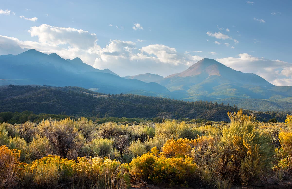 Blue-tinged mountains in background with tall grasses in foreground at Trinchera Blanca Ranch