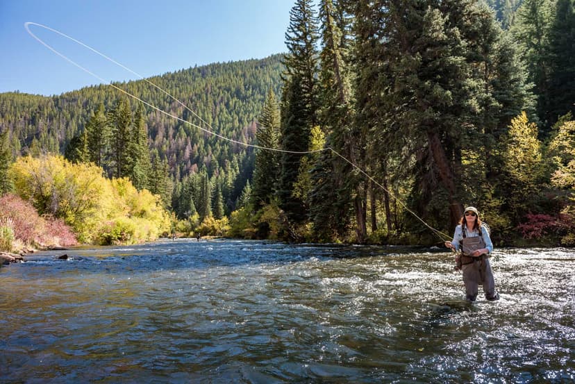 A woman casts here fly-fishing line from the middle of the river; she wears waders and is surrounded by fall colors