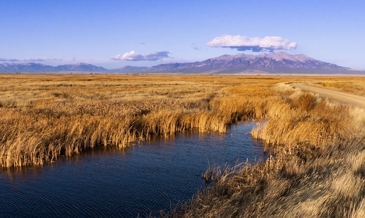 Golden marsh grasses frame the water with the Sangre de Cristo Mountains at Alamosa National Wildlife Refuge in Alamosa Colorado