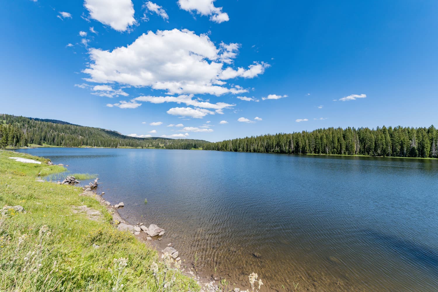 Baron Lake in Grand Mesa