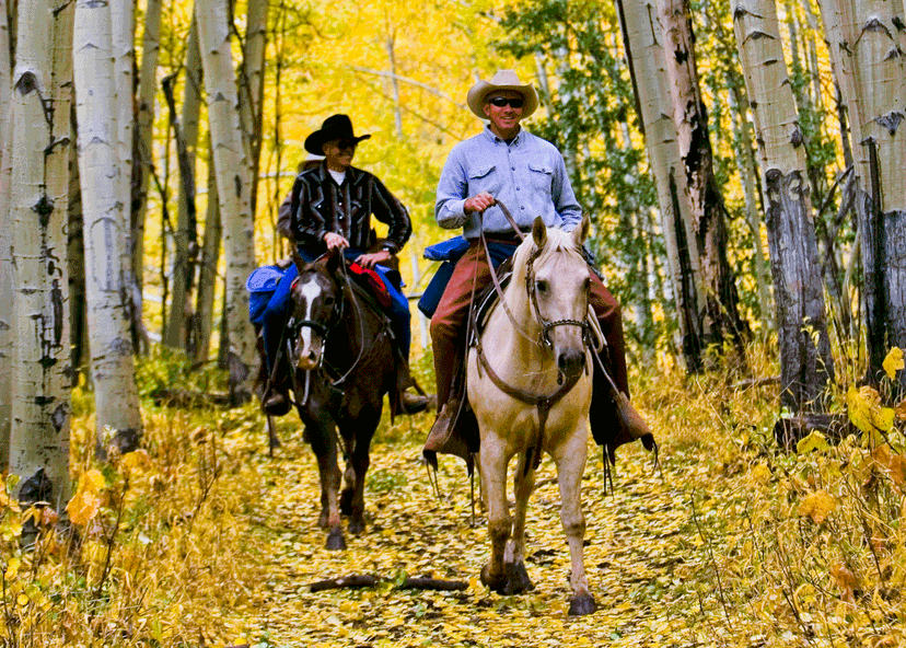 Two people on horseback ride through an alleyway of yellow-leafed aspens