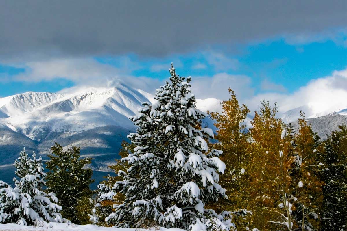 The snow-covered Mt. Elbert sits in the background of snow-doused evergreen trees under a blue sky with gray clouds.