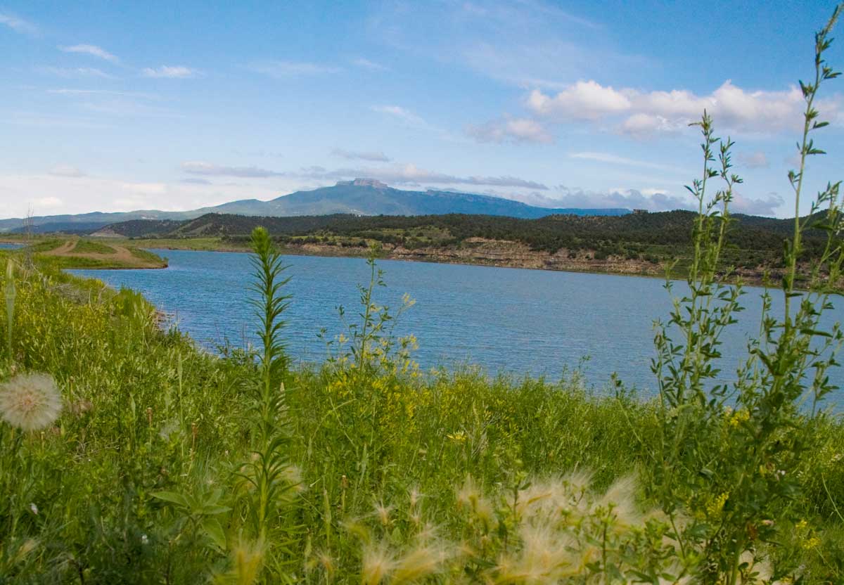 A lake sits surrounded by green grass with Fishers Peak in the hazy background with a blue sky.
