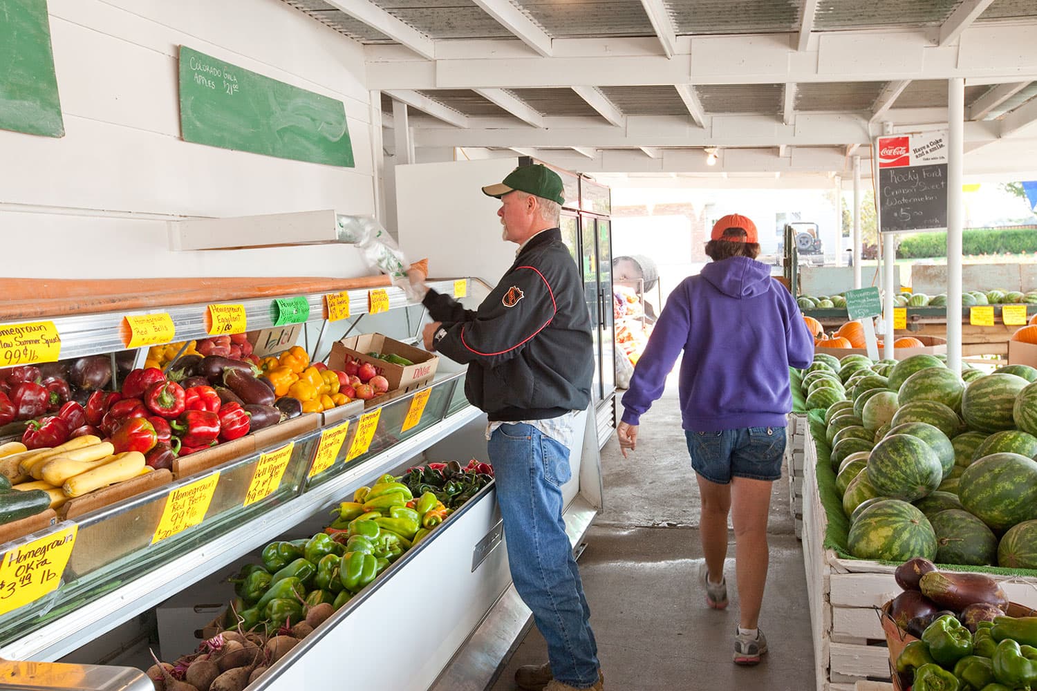 A farm stand with a man grabbing a plastic produce bag in front of bins full of items such as red peppers, eggplants, and green bell peppers. Behind him a person in a purple sweatshirt and shorts walks by a bin full of watermelons.