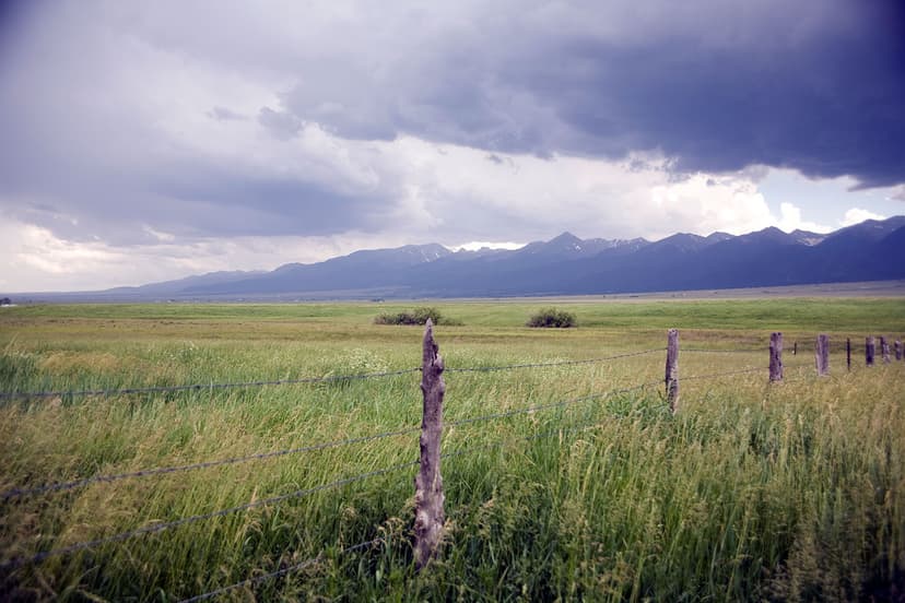 On a stormy day, a field of tall green grasses sits in the foreground. In the background hazy mountains rise up.