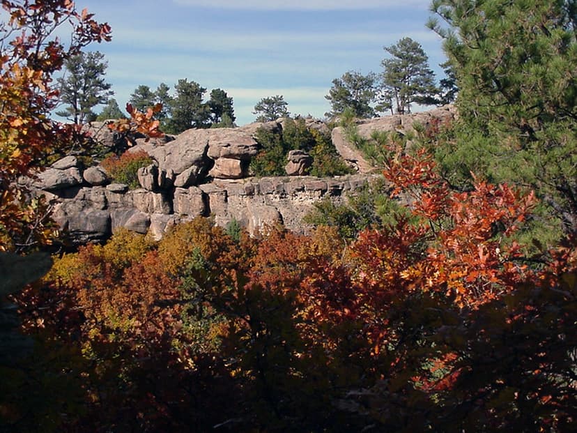 Fall at Castlewood Canyon State Park showcases red leaves with a rocky outcropping in the background and a blue sky with evergreen trees.