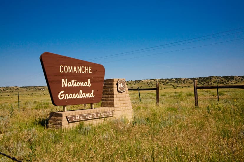 On a blue-sky day the entrance to Comanche National Grasslands sign sits in tall yellow and green grasses. The brown four-sided sign says "Comanche National Grassland" and sits in an L-shaped stone podium.