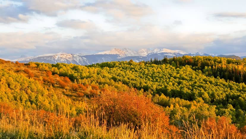 Colorado.com