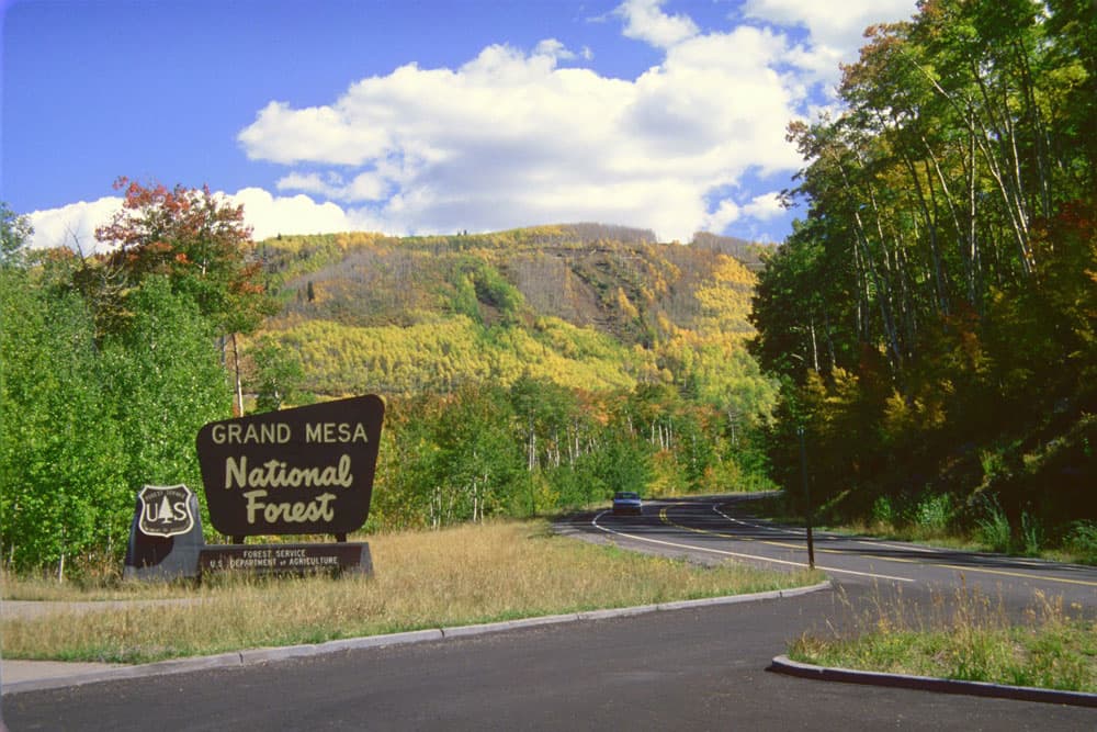 A blue-sky day on the Grand Mesa Scenic Byway. With green, red and golden leafed trees, there's a brown sign that says "Grand Mesa National Forest" on the left.
