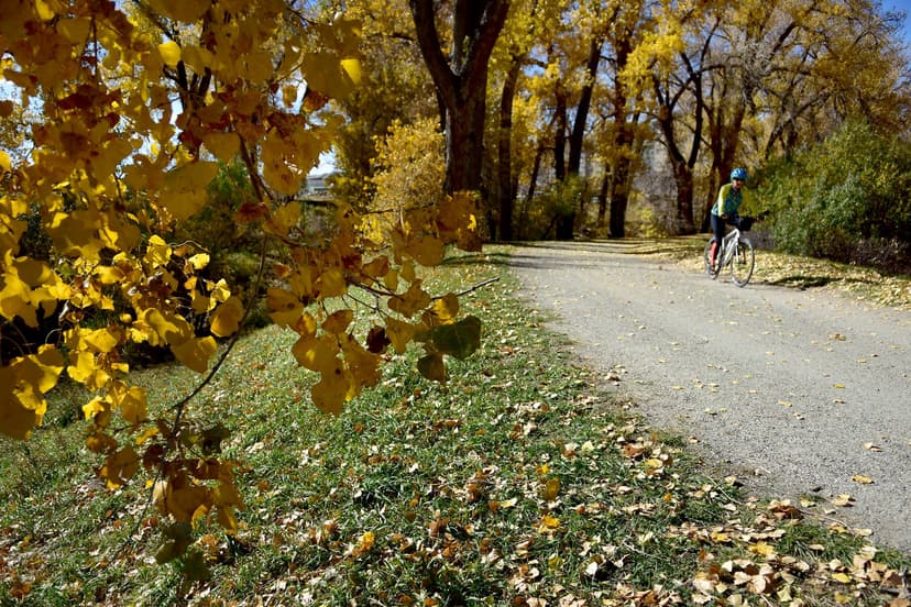 A bicyclist bikes down a grey path that's surrounded by green grass and golden-leafed trees as fall begins in Highlands Ranch.