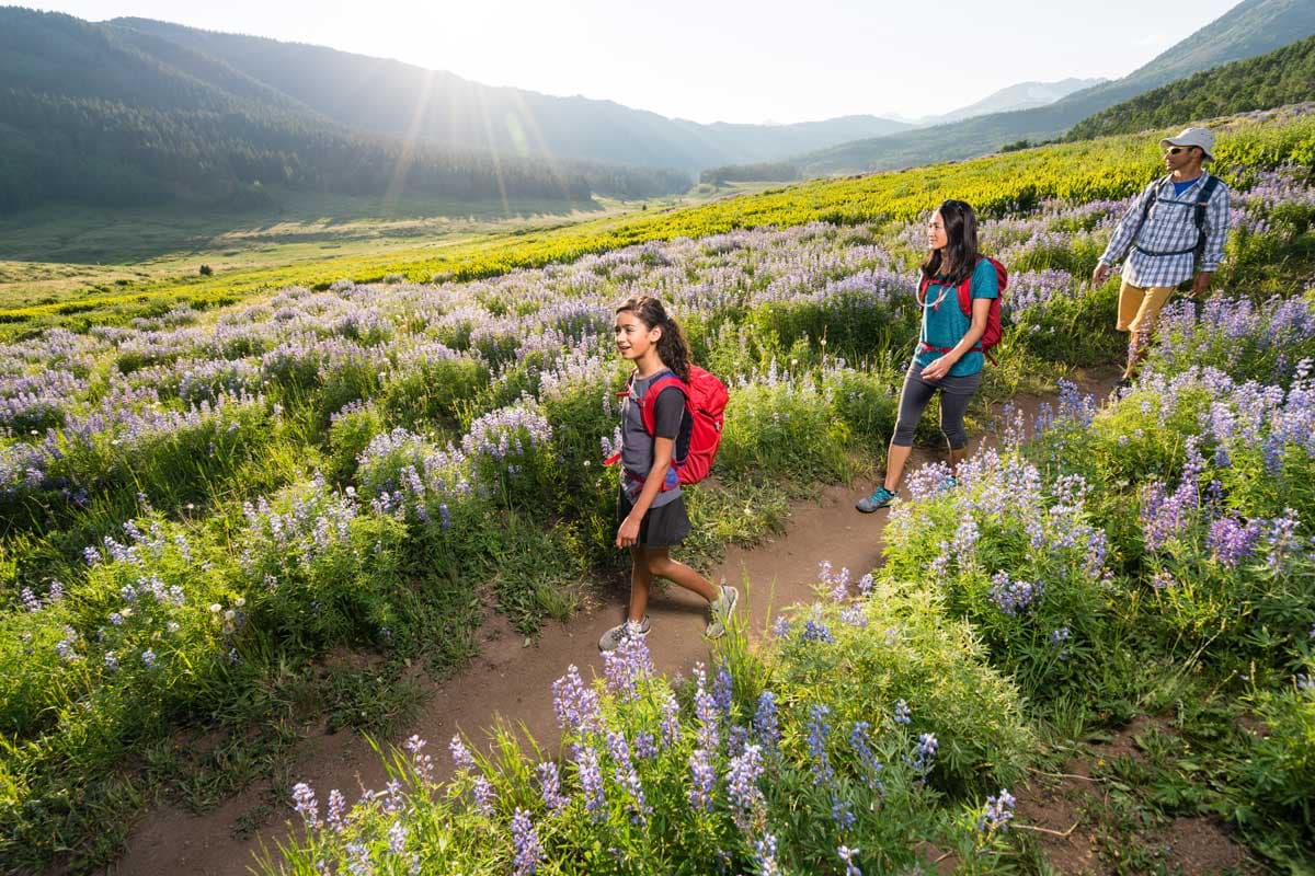 Protect natural areas by sticking to the trails. 