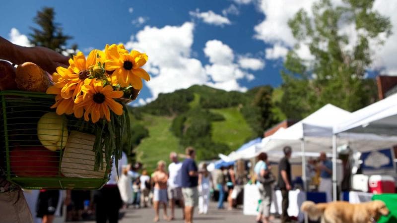 Colorado.com