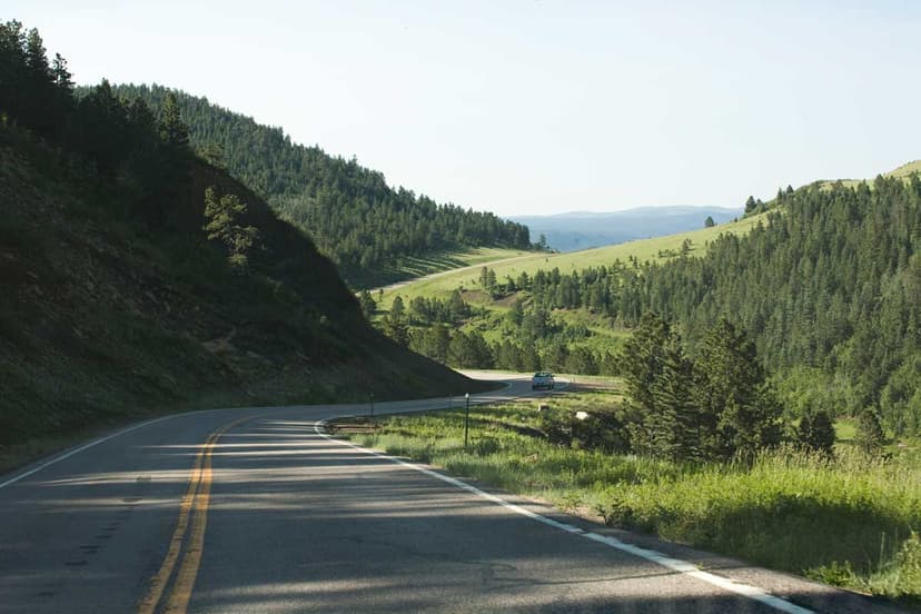 Escape peak travel times by traveling mid-week.