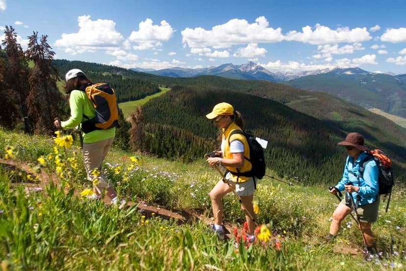 Hiking in Colorado's backcountry in summer