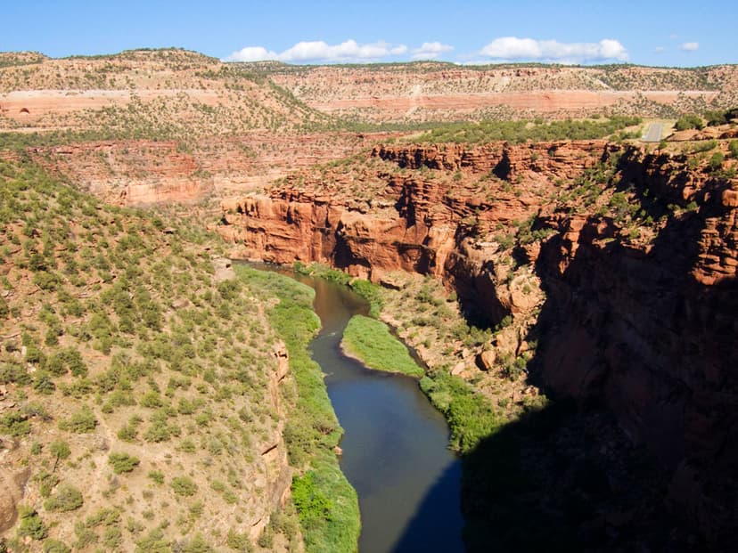 Colorado.com