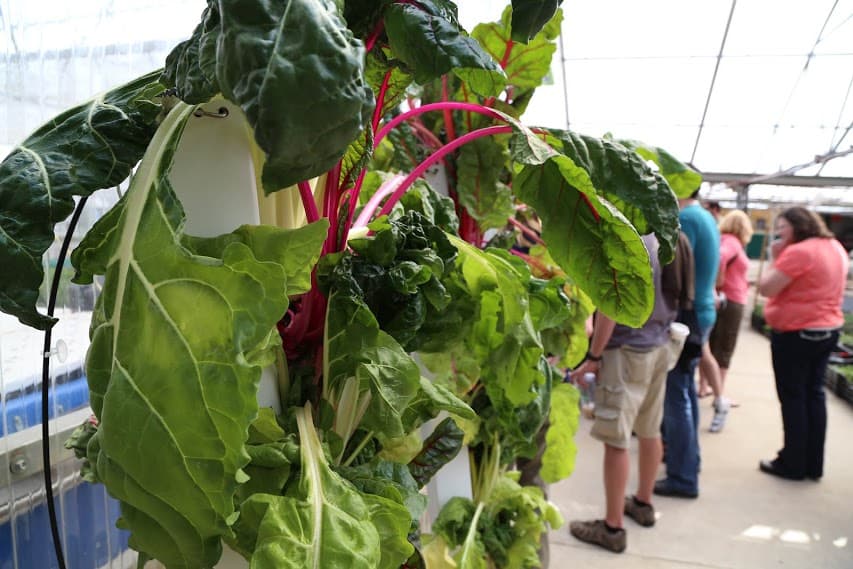 tour of the farm photo