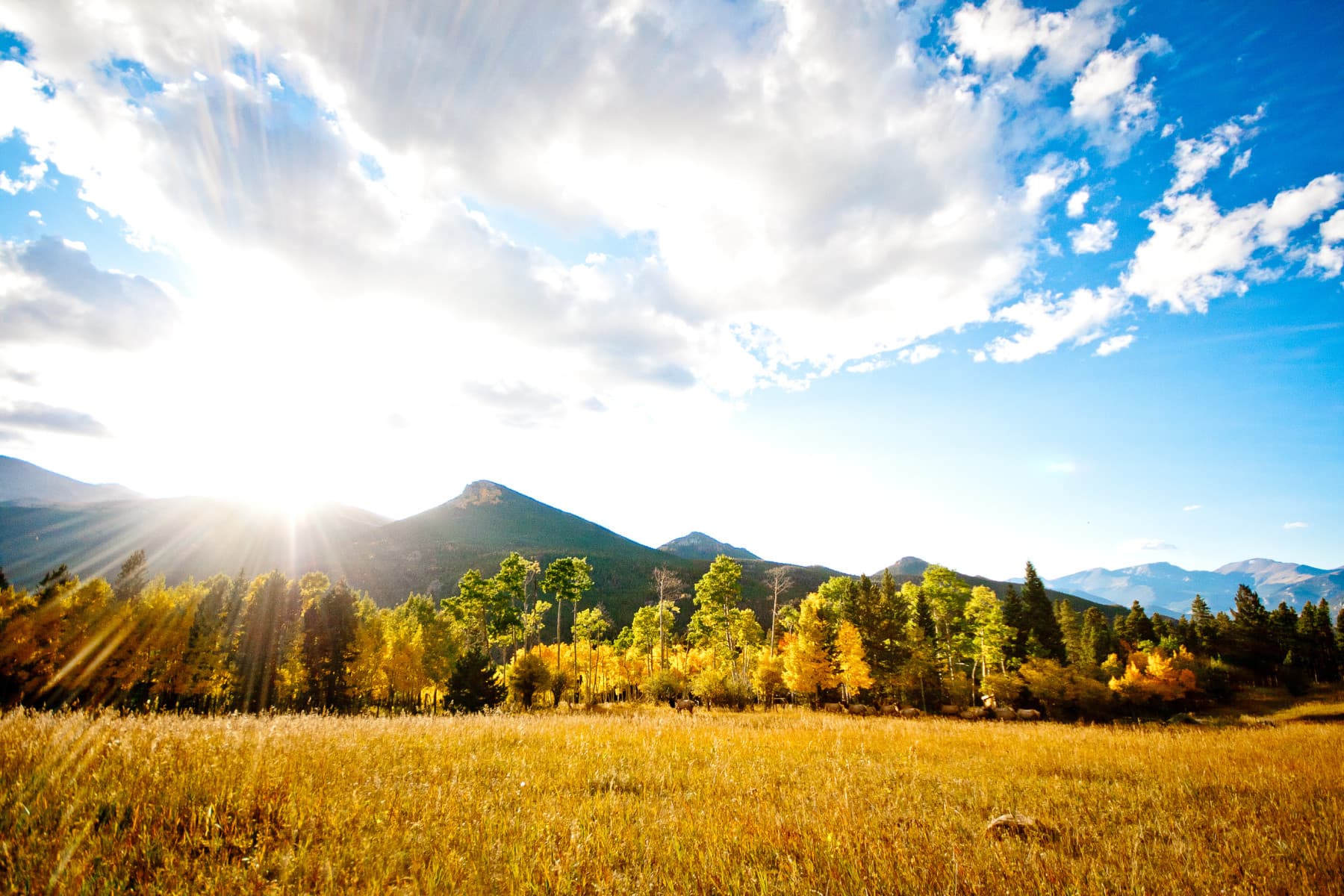 wind river ranch photo