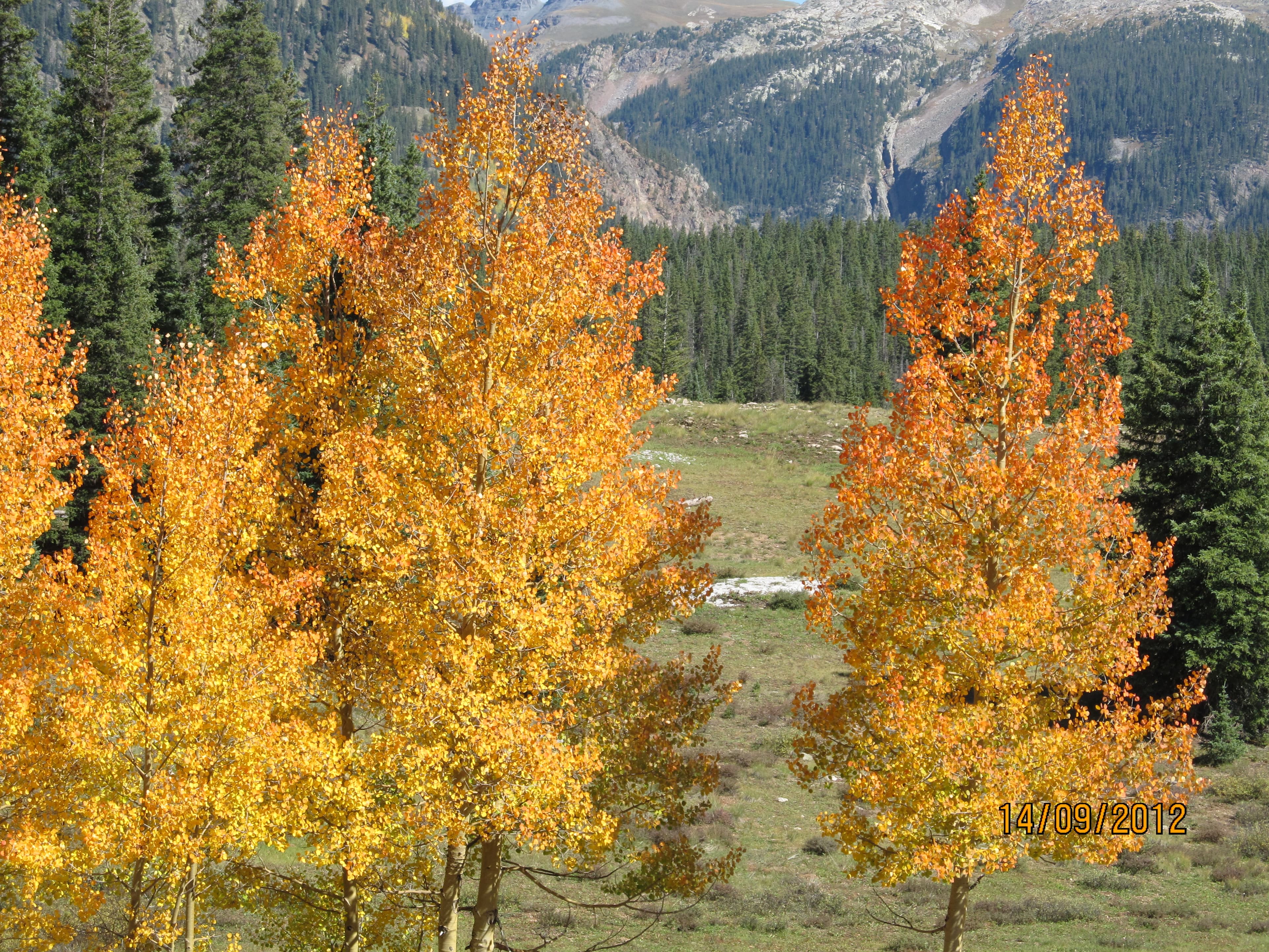 beautiful fall photo