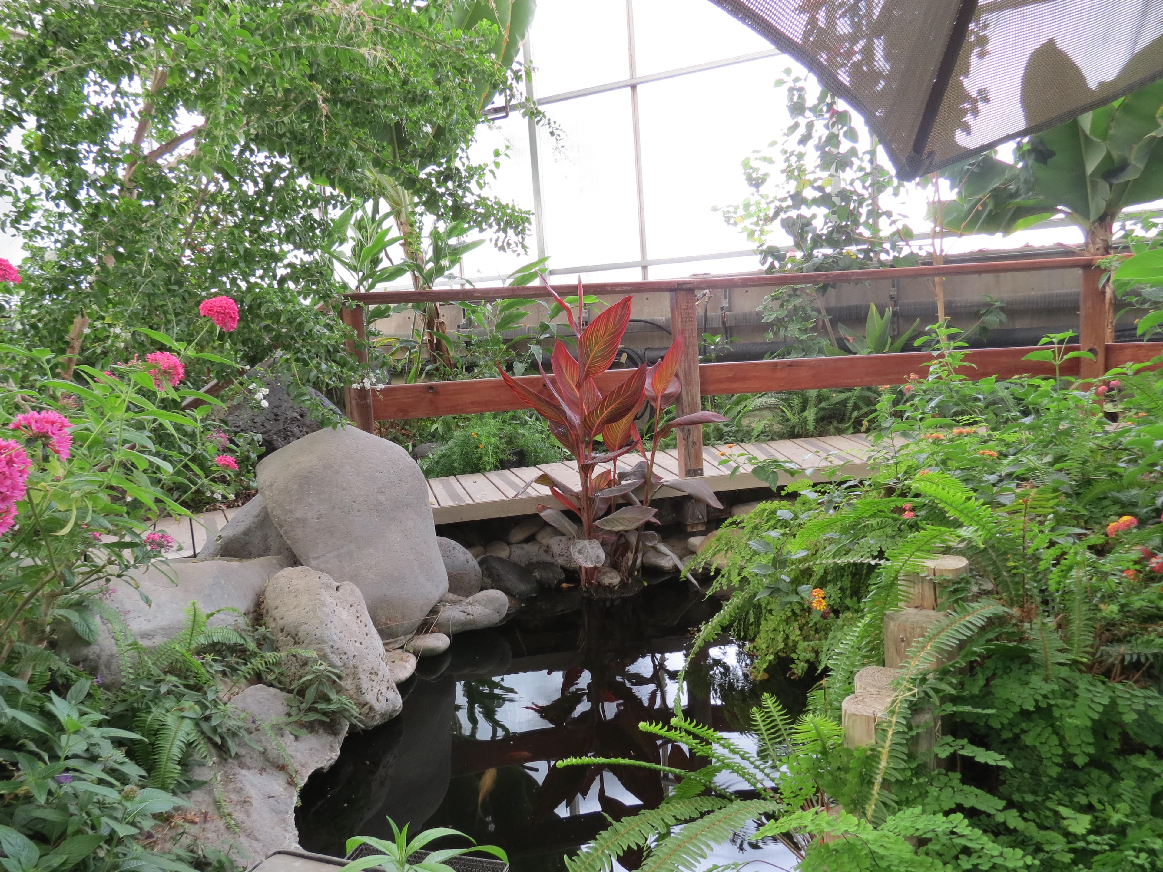 Grand Junction Botanical Gardens: Explore Nature's Oasis