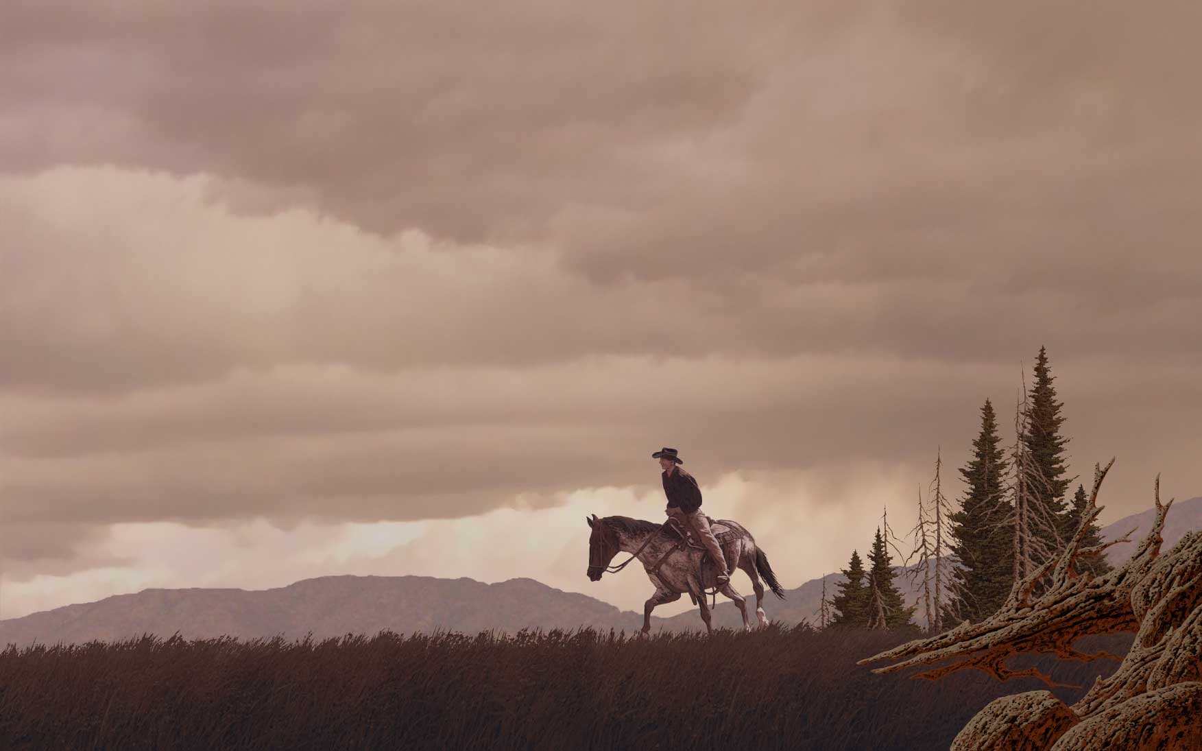 winter park trail rides photo