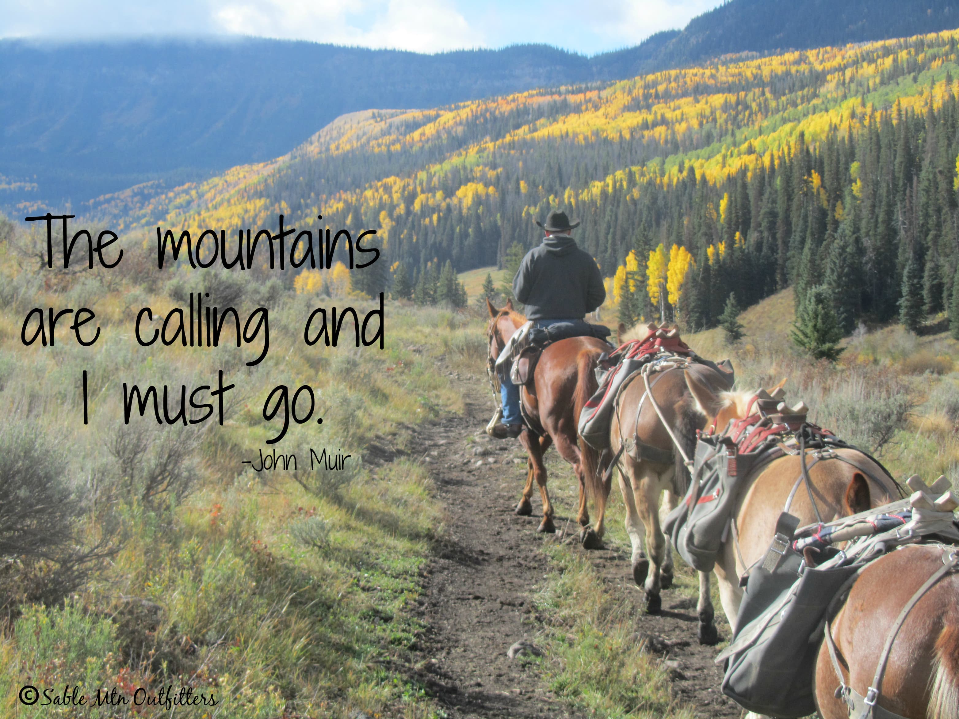 big game hunting with sable mountain outfitters photo