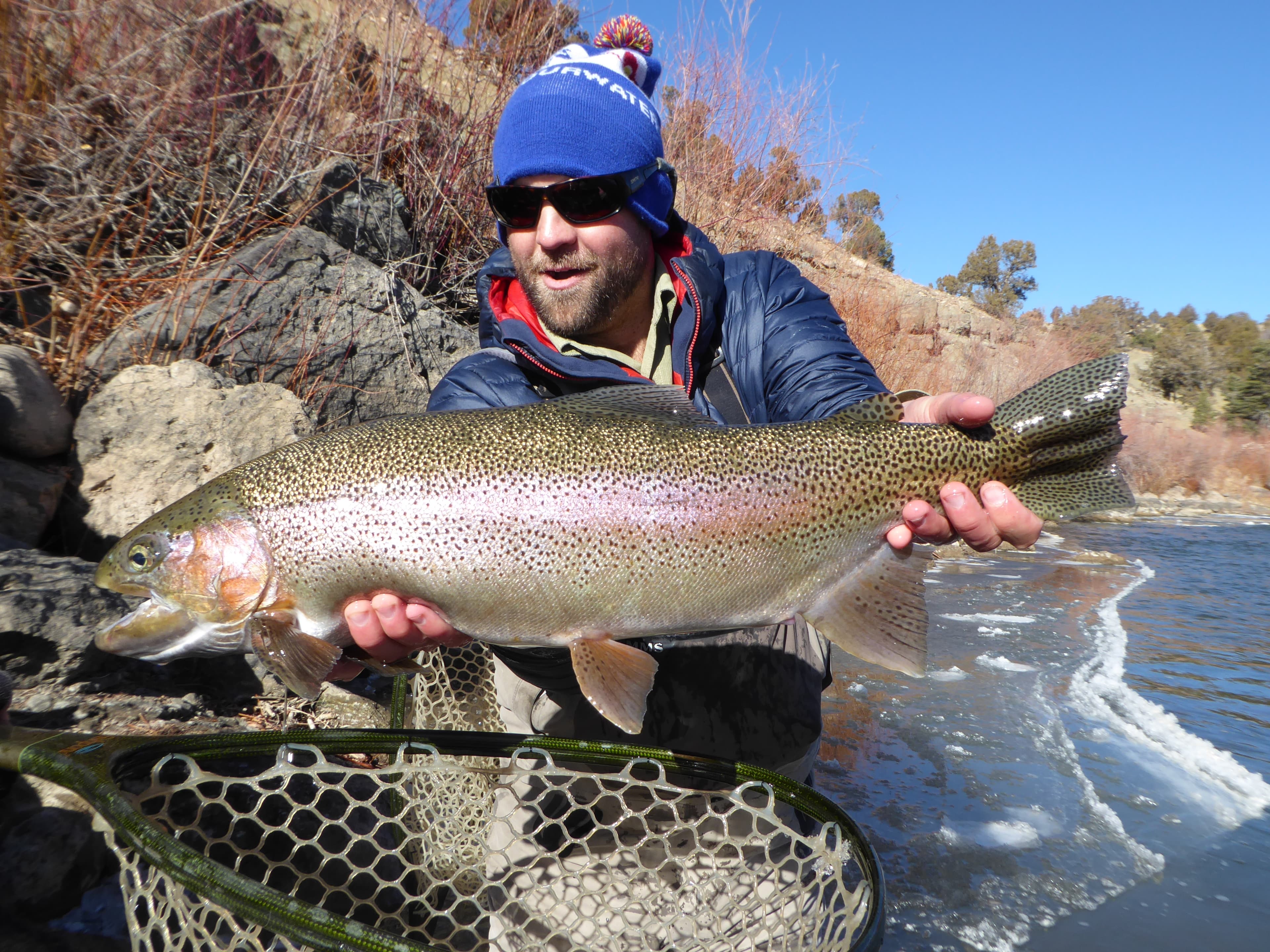 animas river special photo