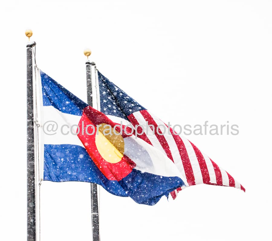 photos by pinque photo