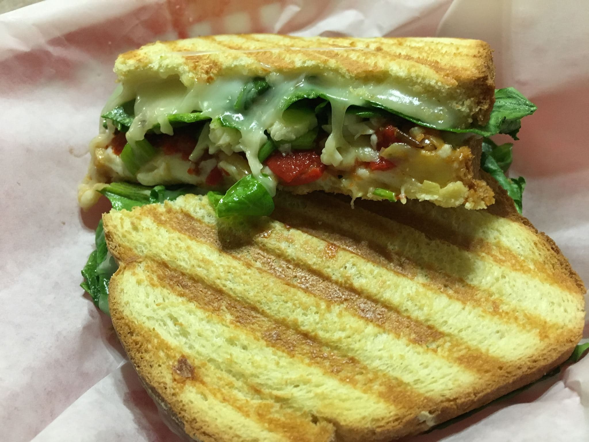vegetarian panini photo