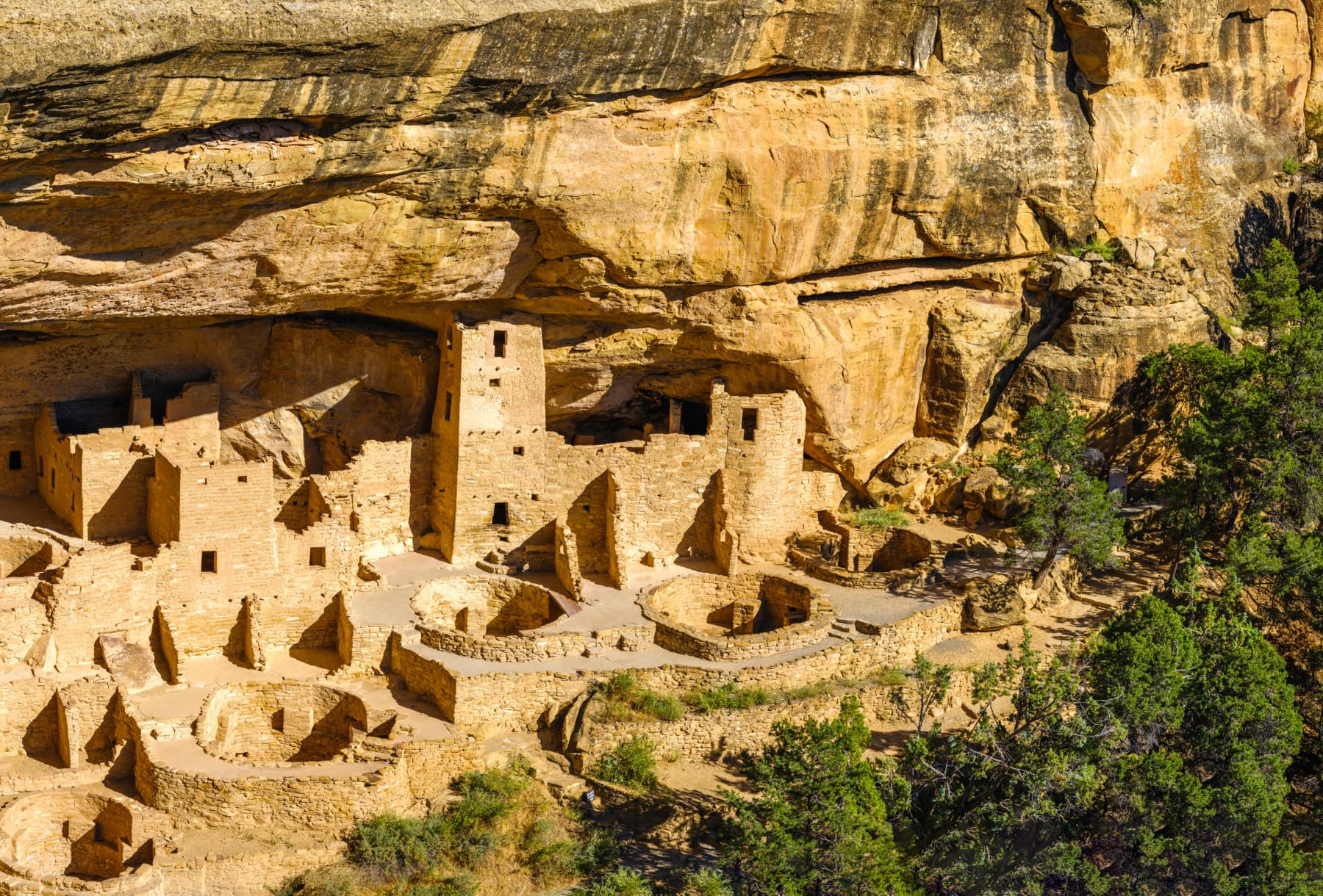cliff palace, mesa verde national park photo