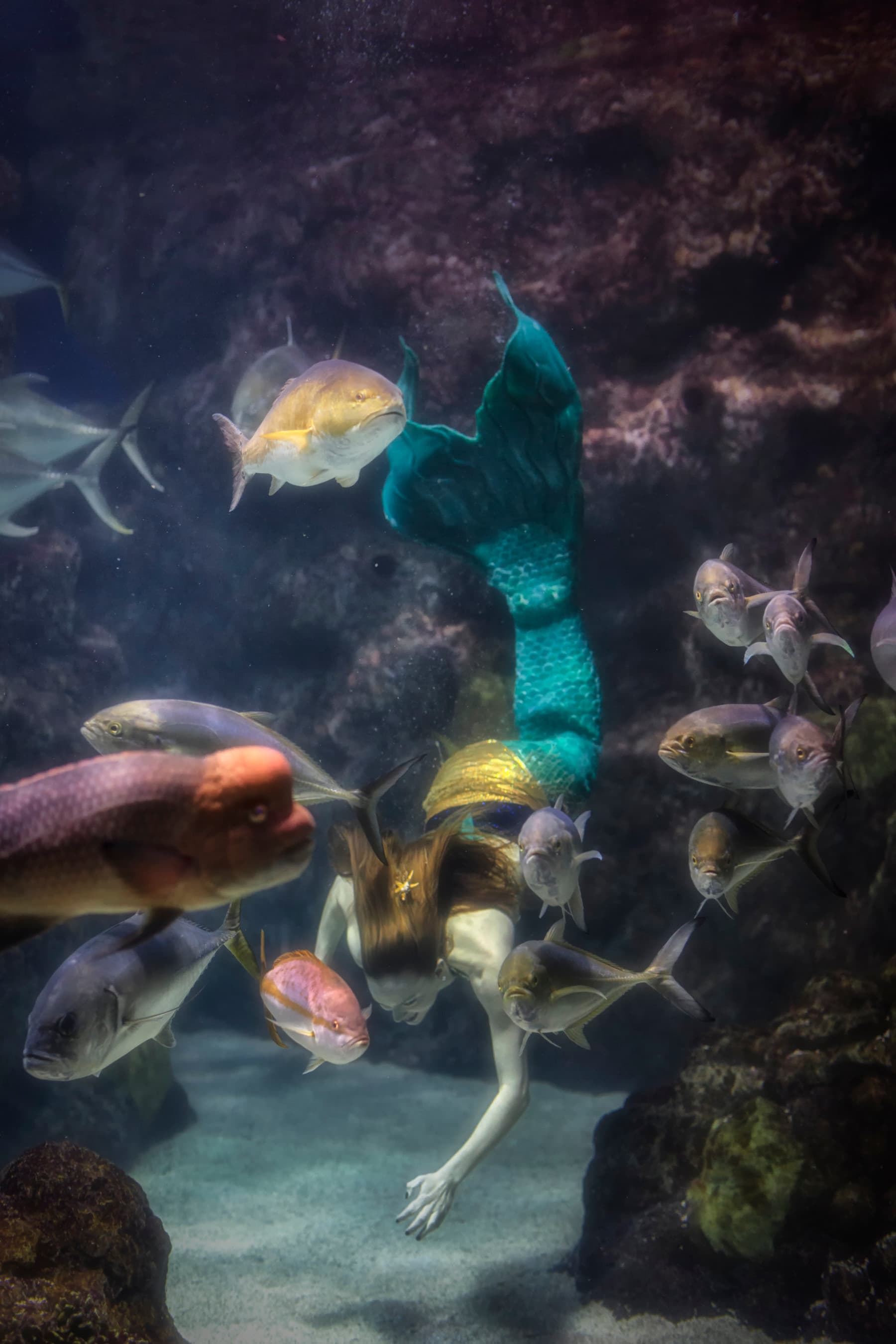 mystic mermaid photo 6