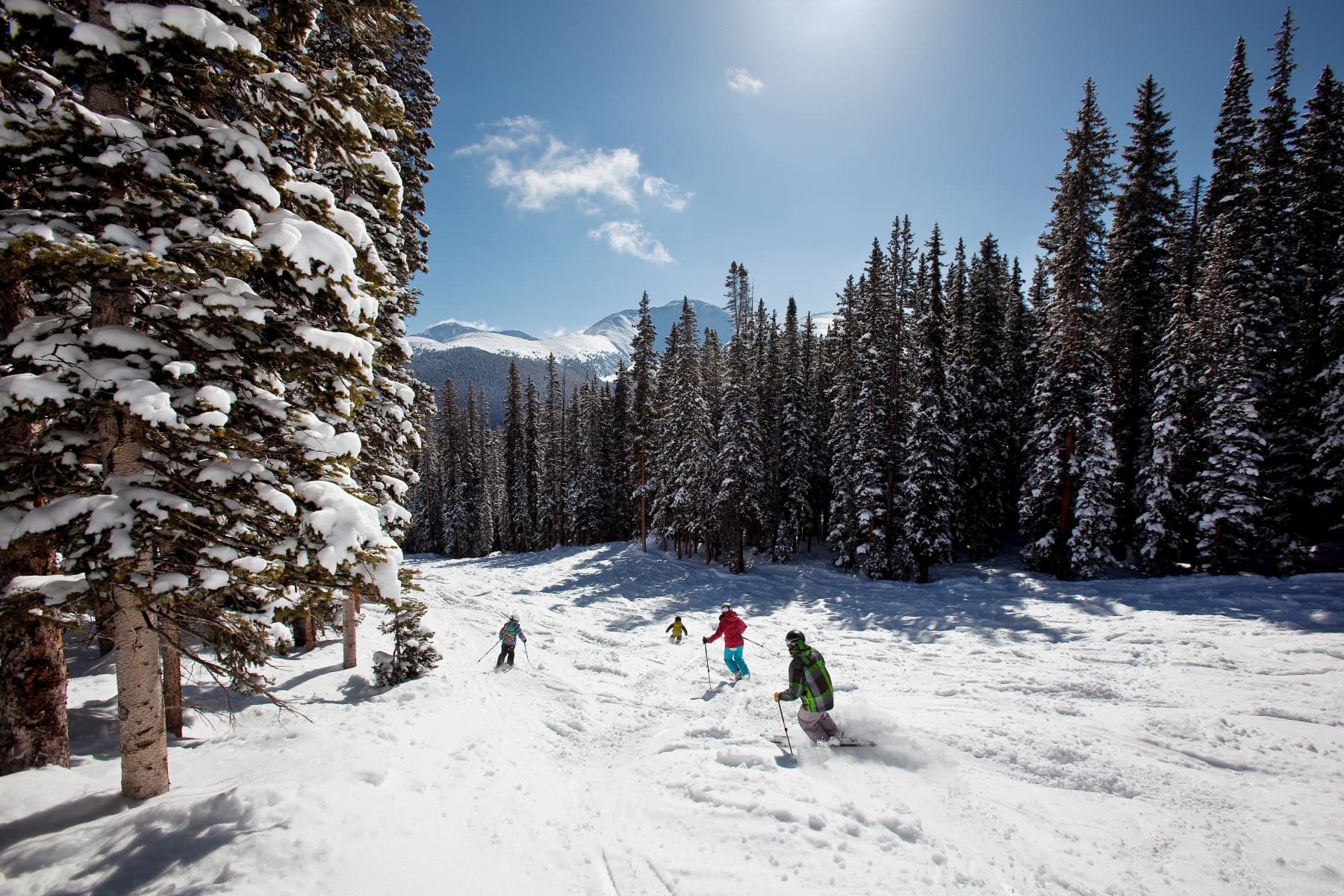 downhill skiing photo