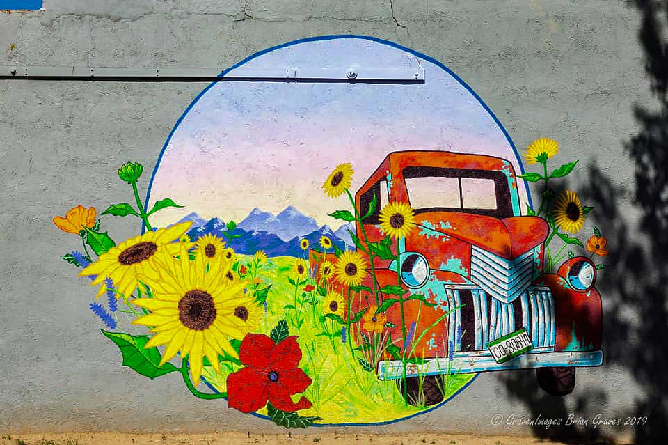 reclaimed by nature by joe hamman photo