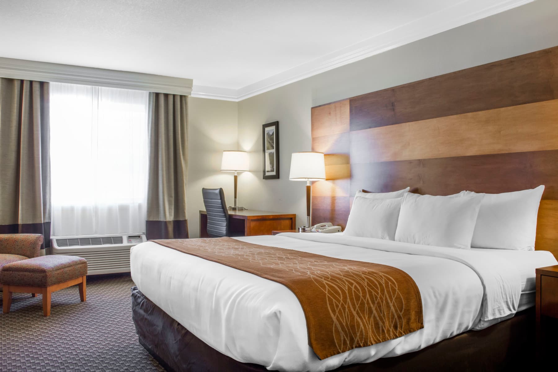 king room photo 6