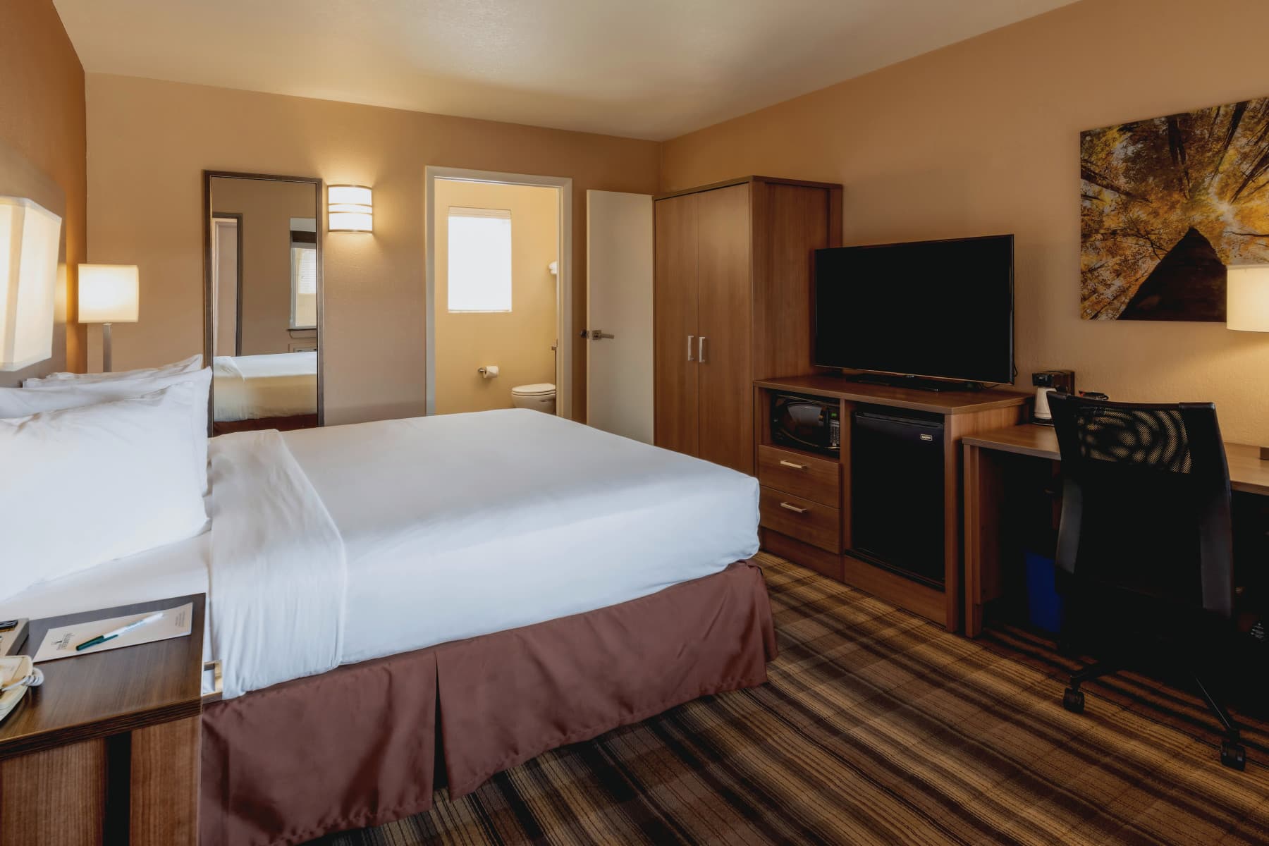 deluxe guest room photo