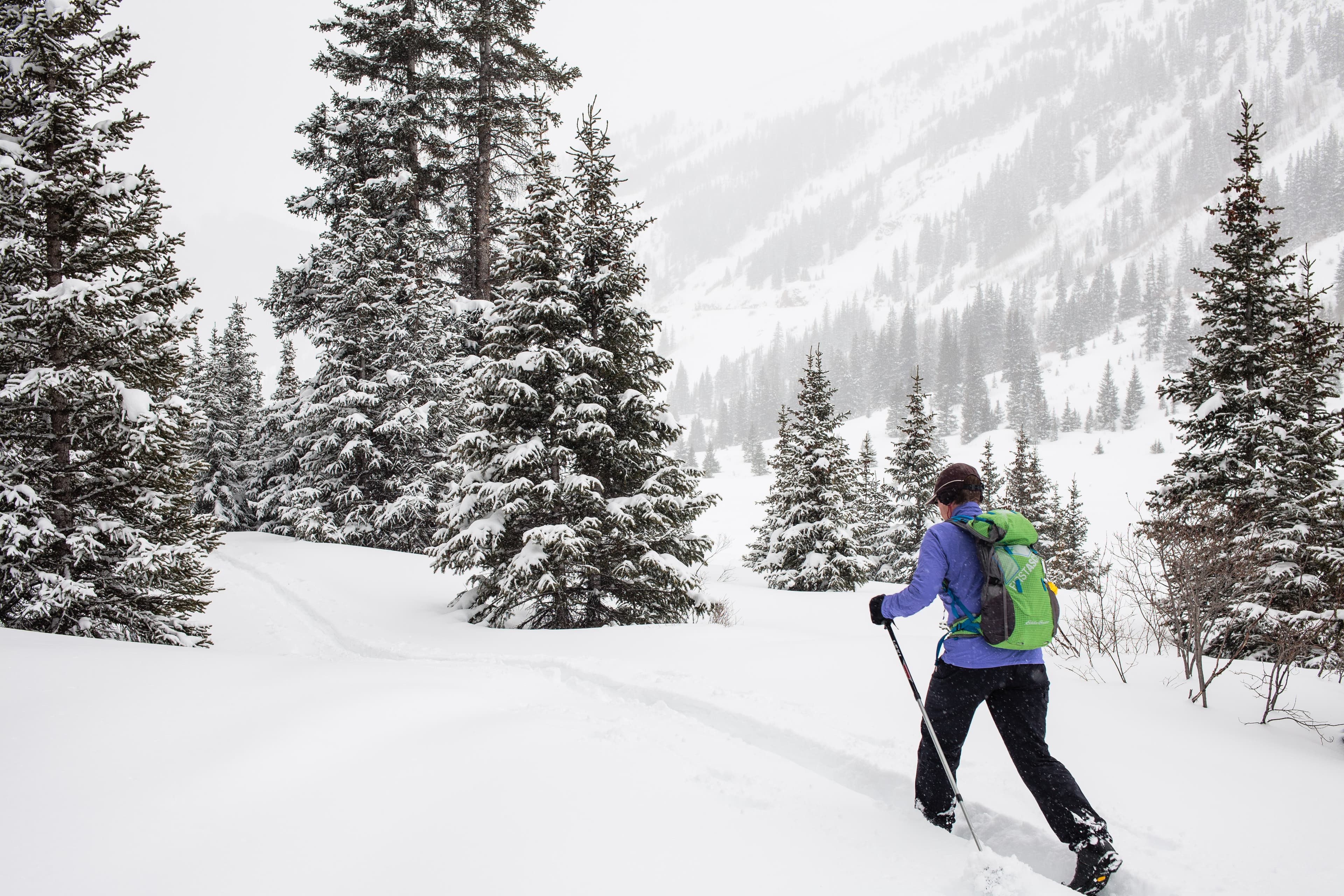 Snowshoeing & Nordic Skiing in Buena Vista & Salida