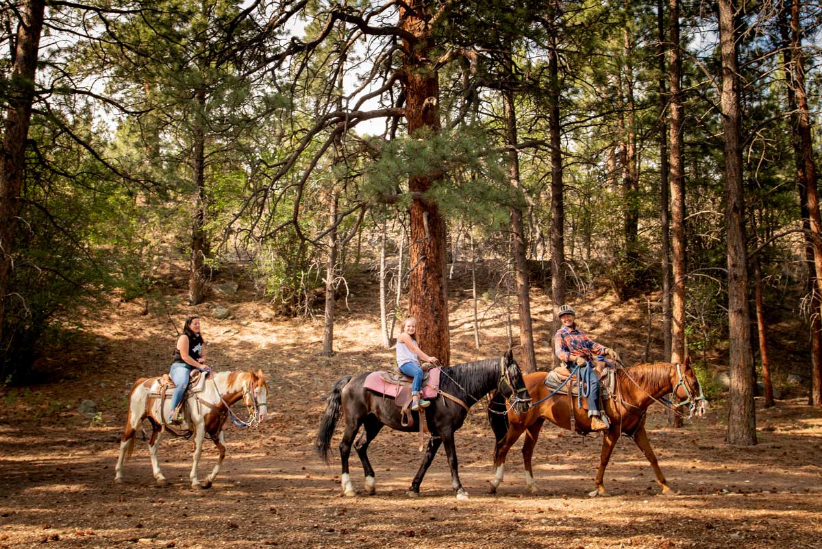 Horseback Riding YearRound in Buena Vista & Salida