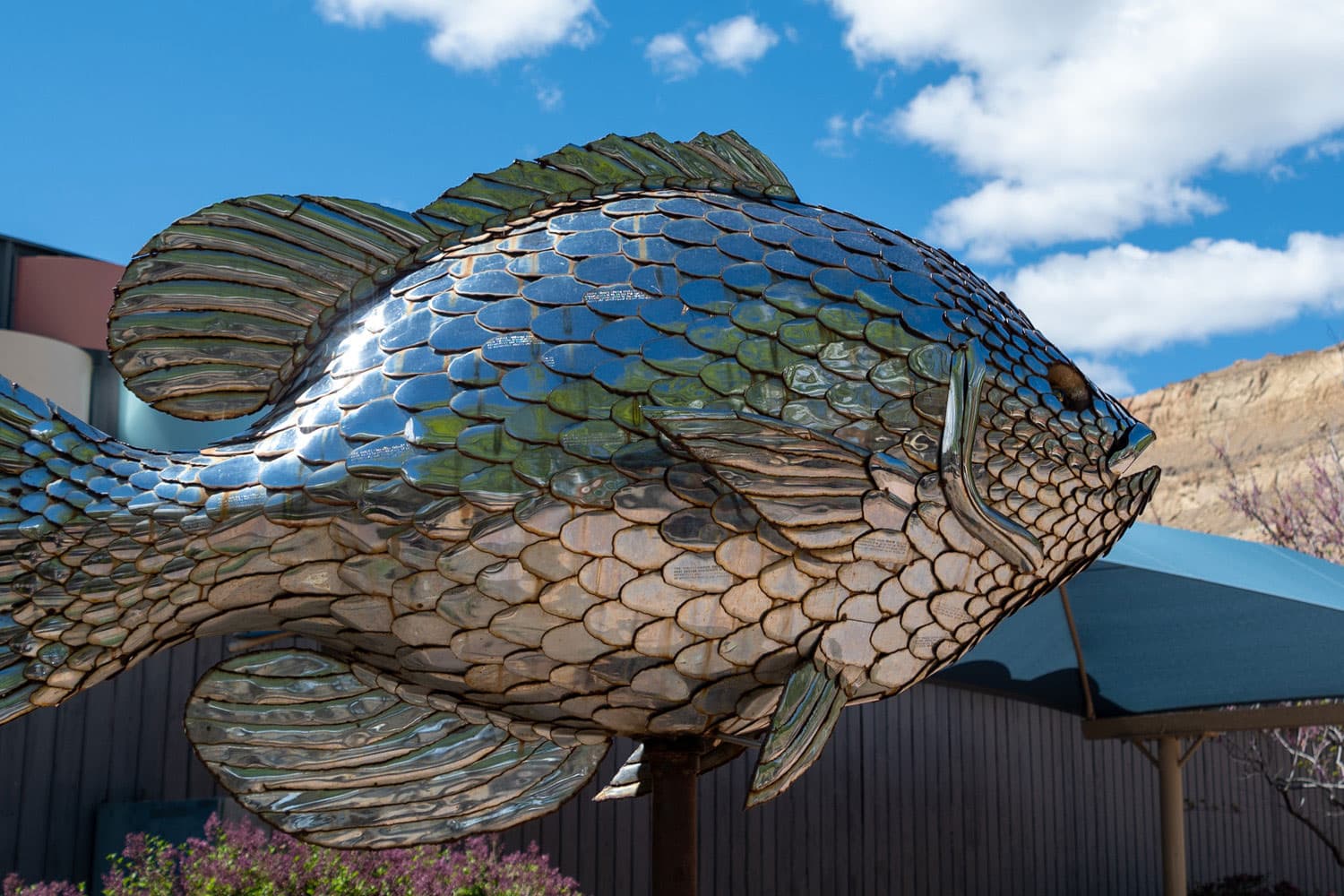 A fish sculpture made of highly reflective metal in downtown Palisade